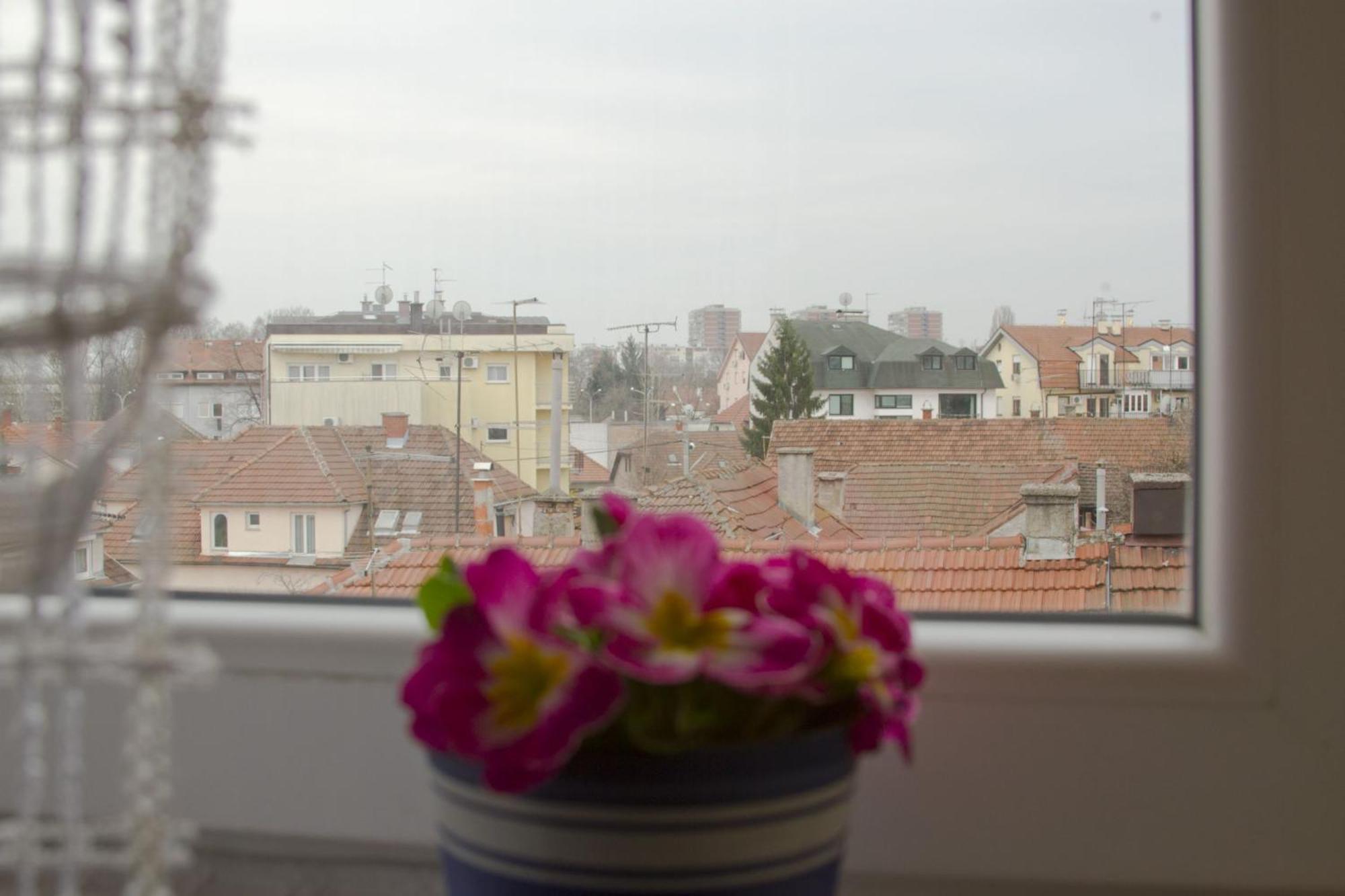 Apartmani Nighty Night Zagreb Zimmer foto